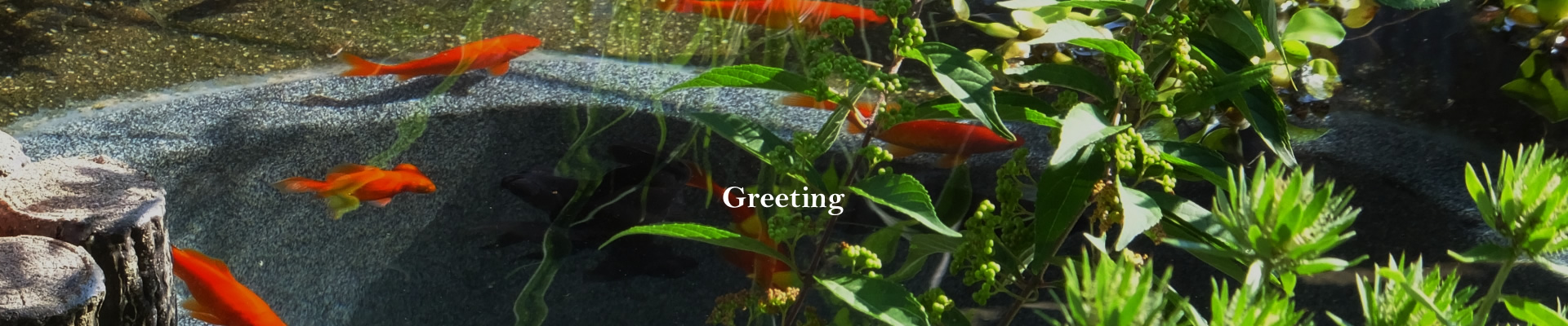 Greeting
